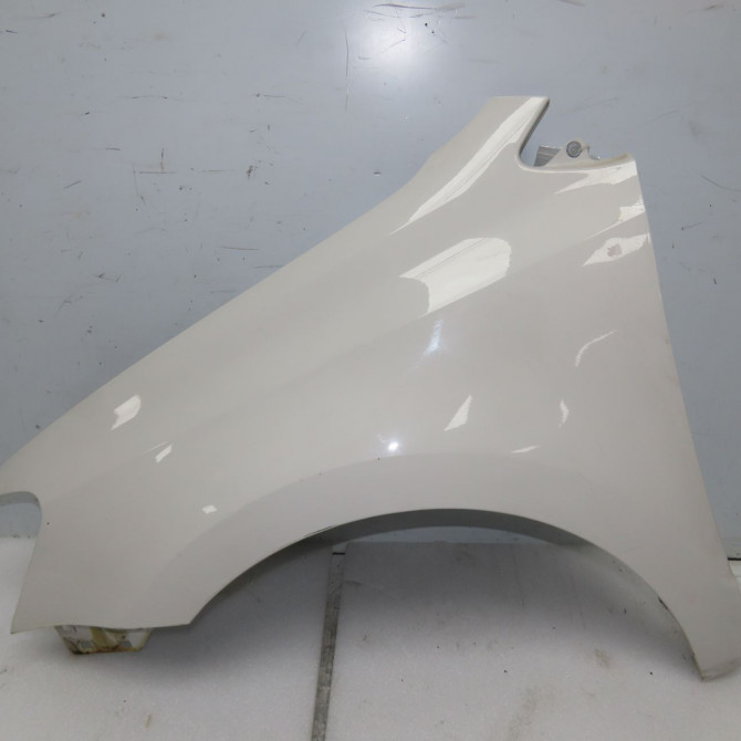 Aile avant gauche occasion VOLKSWAGEN POLO V POLO V Phase 1 2009-09-01->2014-05-31 1.2 60ch 6R0821105H 1