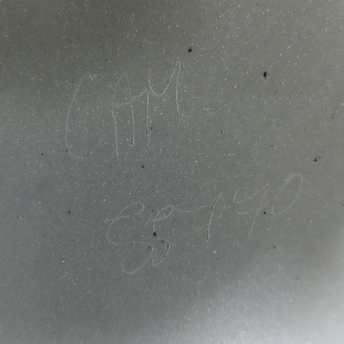 Aile avant gauche occasion VOLKSWAGEN POLO V POLO V Phase 1 2009-09-01->2014-05-31 1.2 60ch 6R0821105H 5