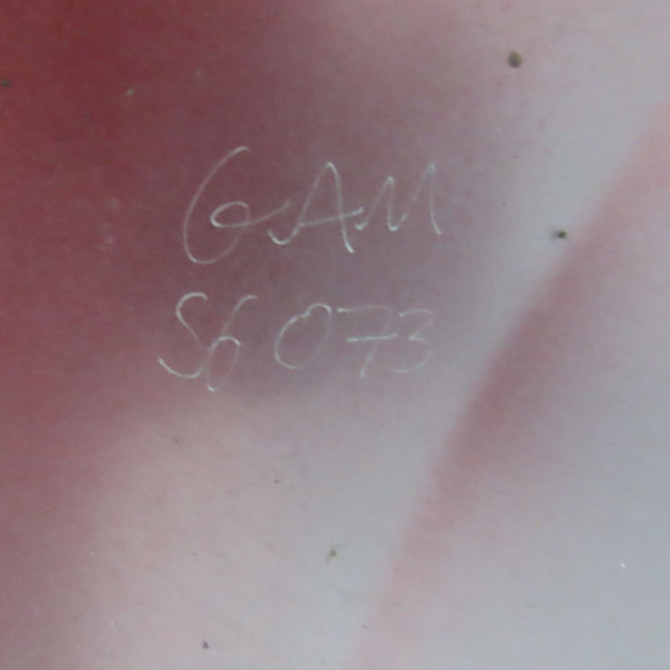 Aile avant gauche occasion DACIA SANDERO II Phase 1 10-2012->... 0.9 TCE 90ch 631019973R 3