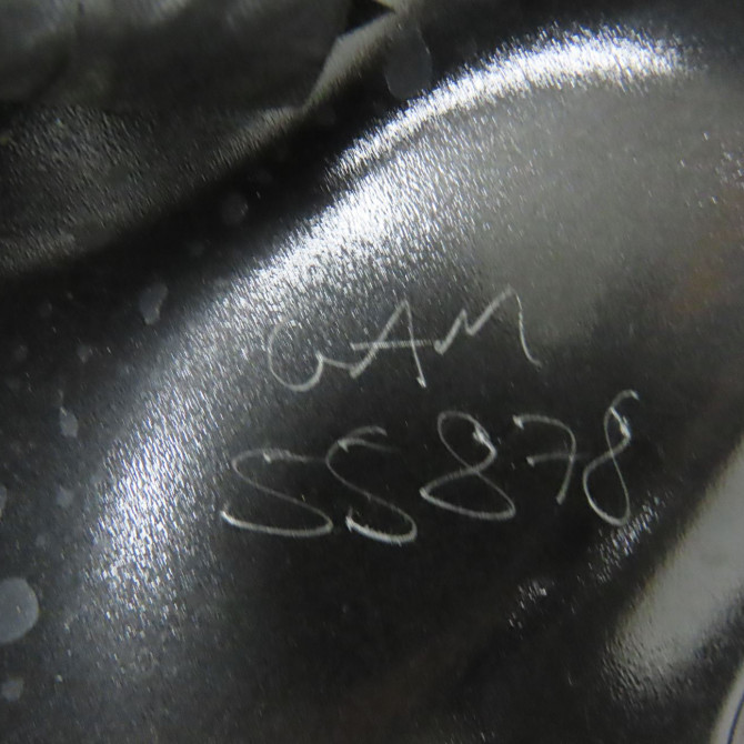 Hayon occasion CITROEN C3 II Phase 1 11-2009->02-2013 1.4 HDi 70ch 8701CG 4