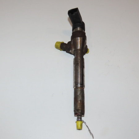 Injecteur occasion RENAULT SCENIC III Phase 1 04-2009->11-2011 1.5 DCI 105ch 166009445R