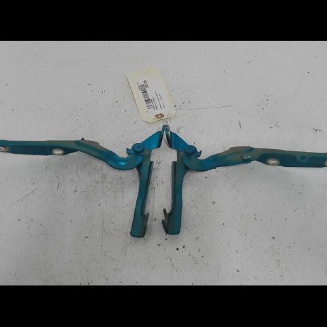 Compas d capot occasion CITROEN C3 PICASSO Phase 2 09-2012->... 1.6 HDI 90ch 7912F5 1