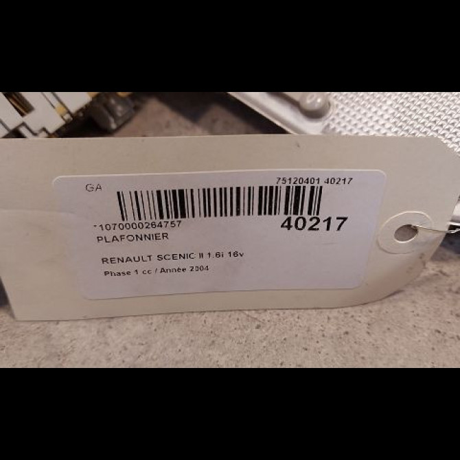 Plafonnier occasion RENAULT SCENIC II Phase 1 03-2004->09-2006 1.6i 16v 8200360559 2