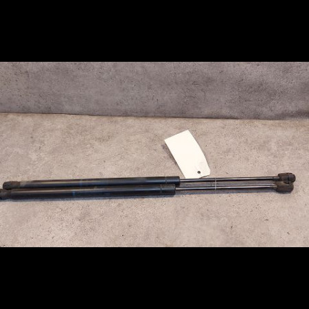 Volet de trappe carburant occasion RENAULT SCENIC II Phase 1 03-2004->09-2006 1.6i 16v 8200139542