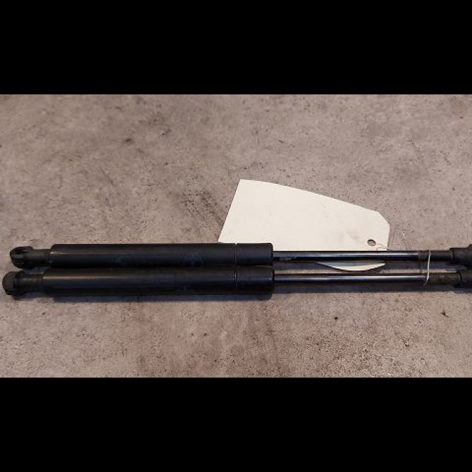 Verin d capot occasion B.M.W. SERIE 3 IV Phase 2 09-2001->03-2005 320d 1