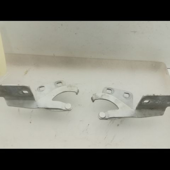 Compas d capot occasion CITROEN BERLINGO I Phase 2 11-2002->10-2010 1.6 HDi 75ch 791281 2