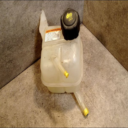 Vase expansion occasion RENAULT KOLEOS I Phase 1 06-2008->12-2011 2.0 DCI 16v 150ch 2243061000