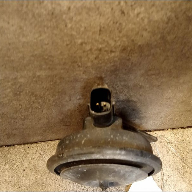 Klaxon  / avertisseur occasion KIA CARENS II K30B66780B 2