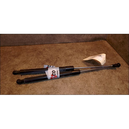 Verin droit hayon occasion RENAULT CLIO III Phase 1 09-2005->03-2009 1.5 DCI 85ch 8200299546