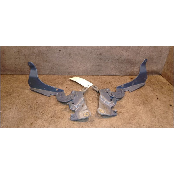 Compas d capot occasion RENAULT ESPACE IV Phase 1 09-2002->03-2006 2.2 DCI 7701207260 1