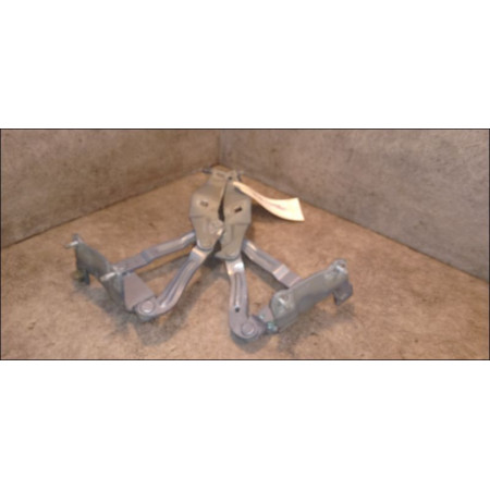 Compas d capot occasion RENAULT SCENIC II Phase 1 03-2004->09-2006 1.5 DCI 105ch 8200081663