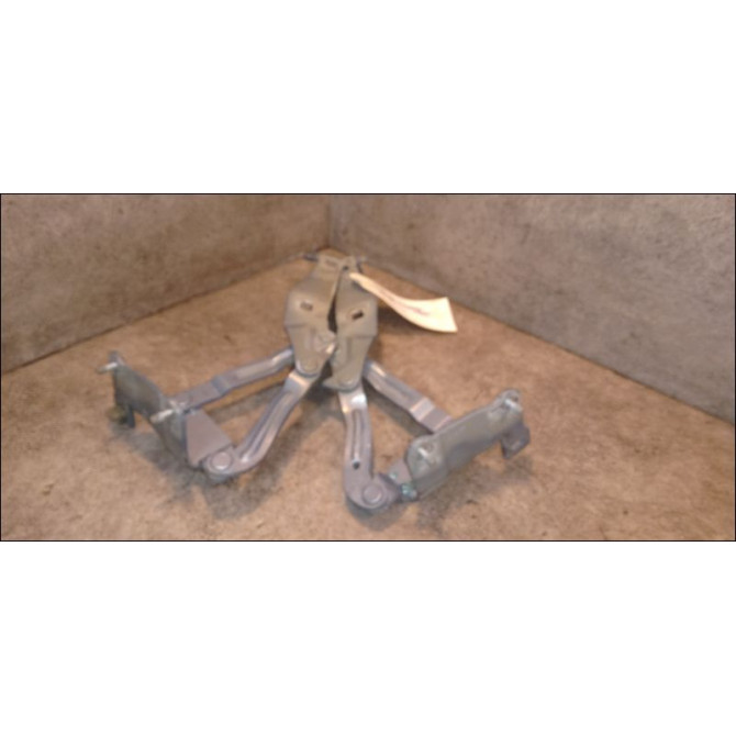 Compas d capot occasion RENAULT SCENIC II Phase 1 03-2004->09-2006 1.5 DCI 105ch 8200081663 1