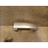 POIGNEE EXT PORTE ARG