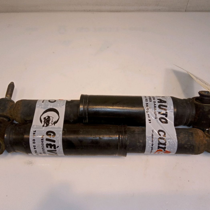 Amortisseur arrière droit occasion RENAULT SCENIC II Phase 1 03-2004->09-2006 1.9 DCI 120ch 8200330197 1