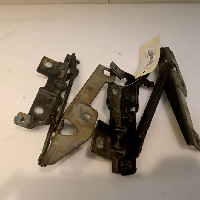 Compas d capot occasion OPEL INSIGNIA Phase 1 01-2009->03-2013 12841601 2