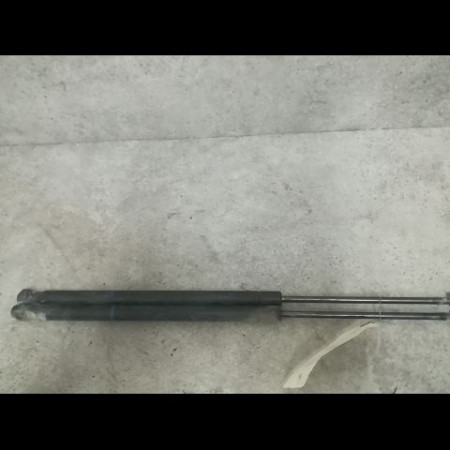 Verin droit hayon occasion RENAULT SCENIC II Phase 1 03-2004->09-2006 1.5 DCI 105ch 8200616559