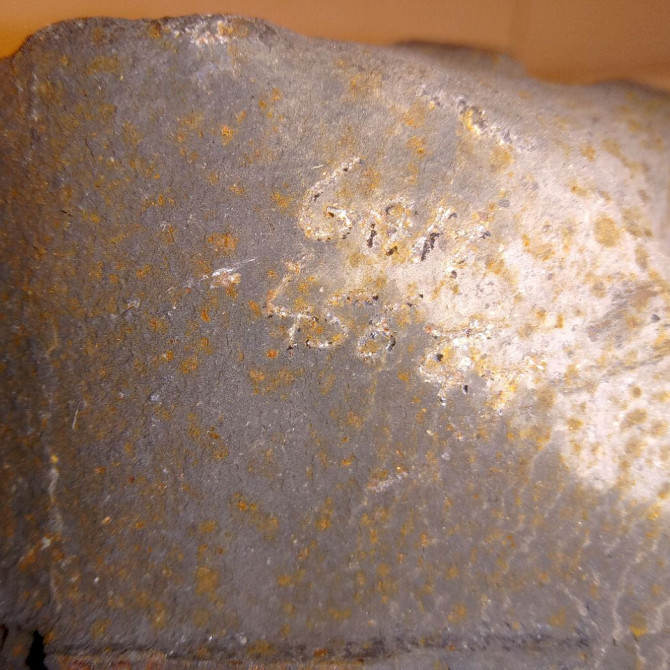 Etrier de frein avant gauche occasion TOYOTA AVENSIS II phase 1 05-2003->08-2006 115 D-4D 4775005060 4