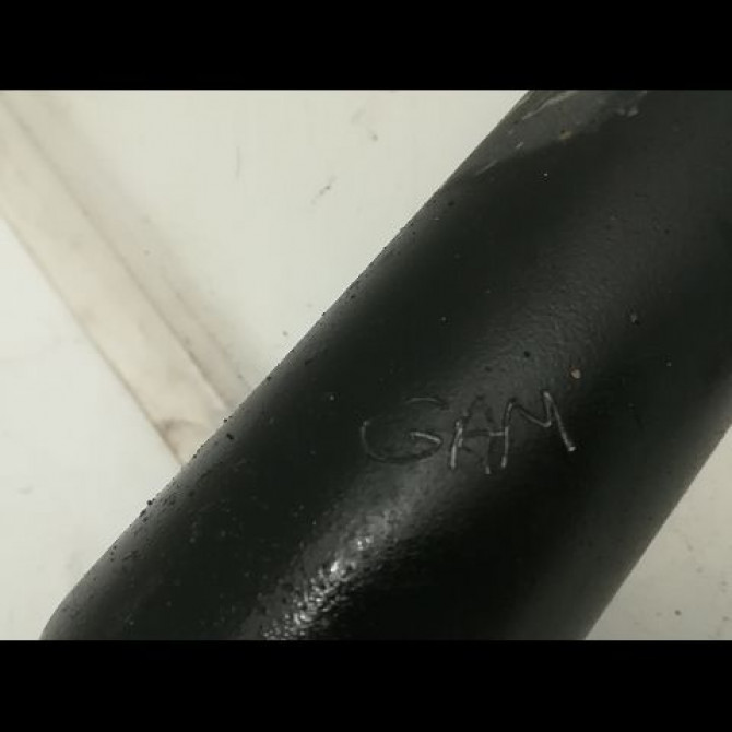 Amortisseur arrière droit occasion PEUGEOT 207 Phase 1 04-2006->06-2013 1.6 HDI 16v 90ch 5206JP 2