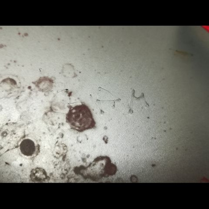 Feux stop supplementaire occasion NISSAN MICRA III Phase 2 11-2005->11-2007 1.2i 80ch 26590AX000 3