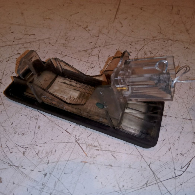 Eclaireur plaque de police d occasion RENAULT MODUS Phase 1 09-2004->12-2007 1.5 DCI 65ch 8200013577 2