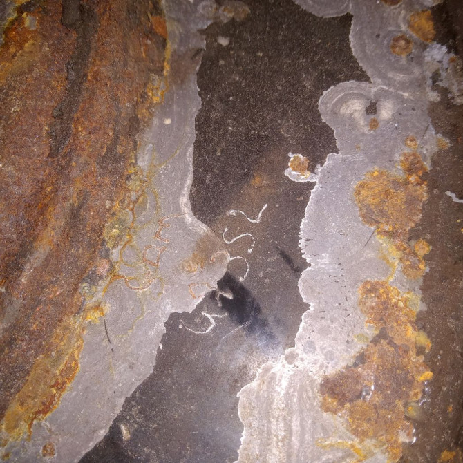 Moyeu arg occasion PORSCHE CAYENNE I 4