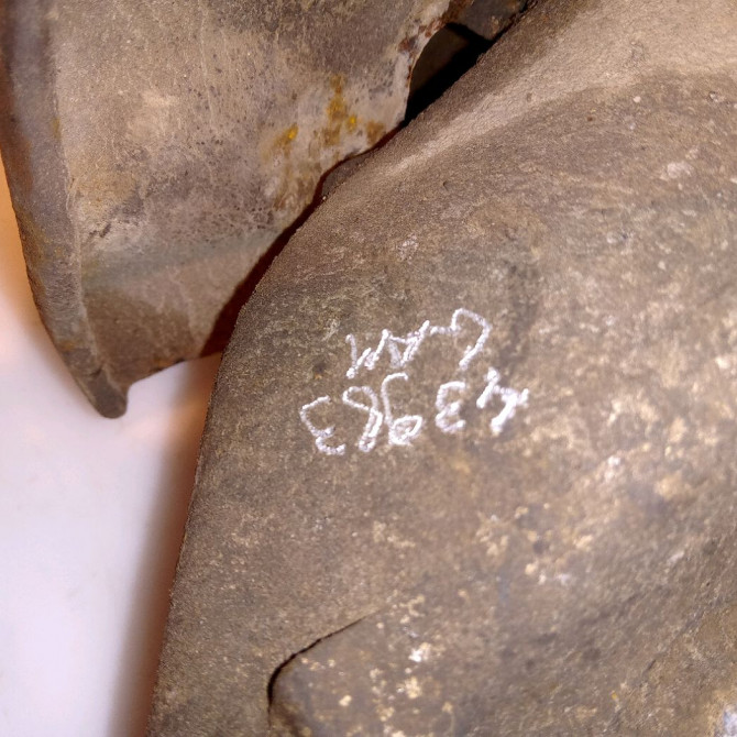 Moyeu avd occasion TOYOTA PRIUS II 4351047010 3