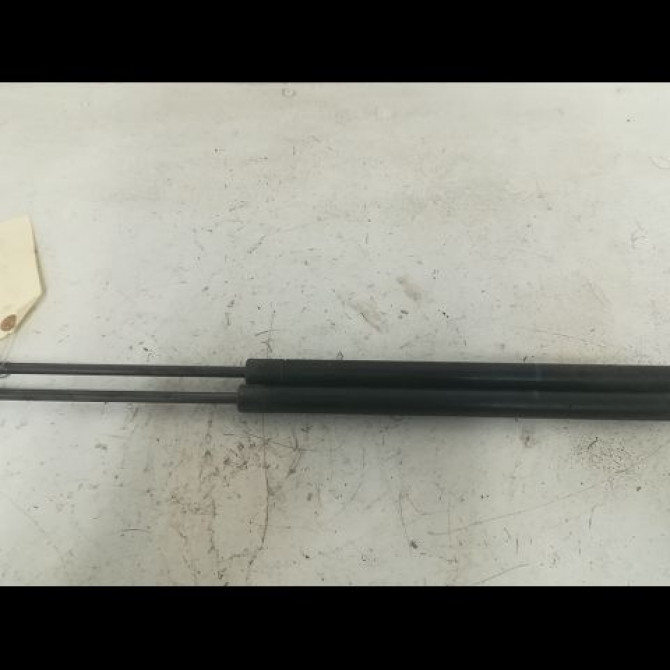 Verin droit hayon occasion RENAULT SCENIC II Phase 1 03-2004->09-2006 1.9 DCI 120ch 8200377199 1