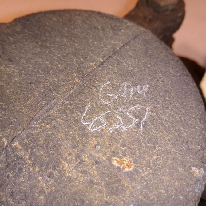 Etrier de frein avant gauche occasion MERCEDES CLASSE A II Phase 1 12-2004->04-2008 2.0 CDI 16v 110ch 1694201383 3