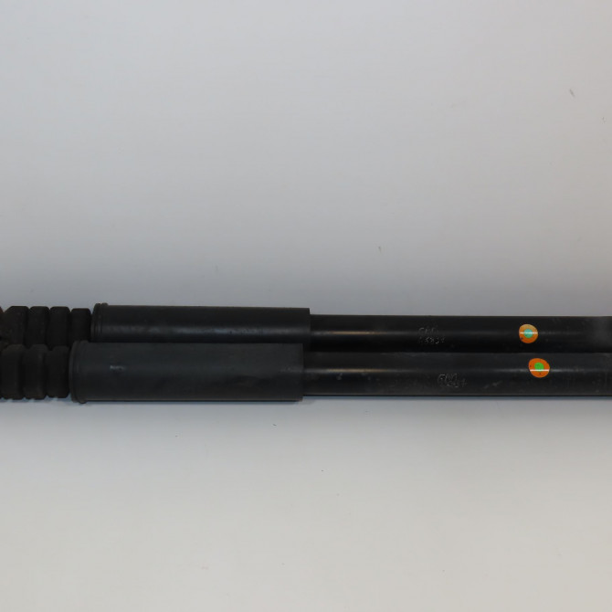 Amortisseur arrière droit occasion DACIA LOGAN I Phase 2 07-2008->12-2012 1.5 DCI 85ch 6001549248 1