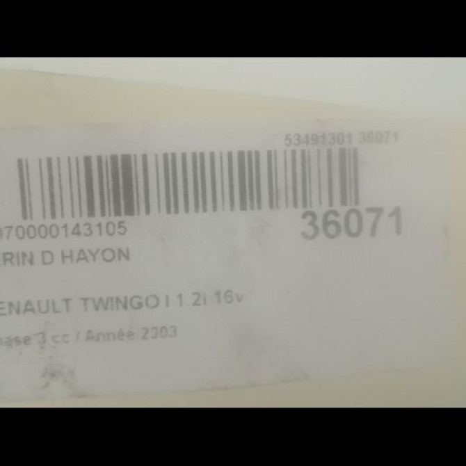 Verin droit hayon occasion RENAULT TWINGO I Phase 3 08-2000->06-2007 1.2i 16v 2