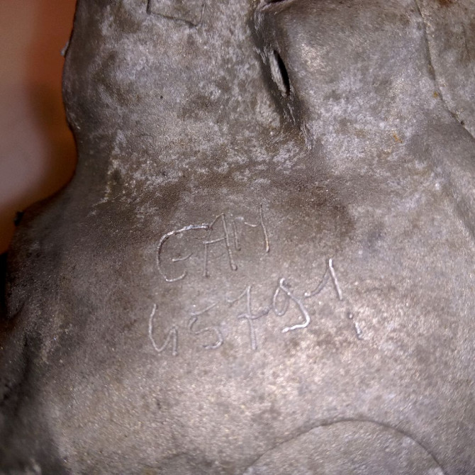 Pompe a vide occasion FIAT BRAVA I Phase 1 09-1995->12-2001 JTD 105ch 55205443 3