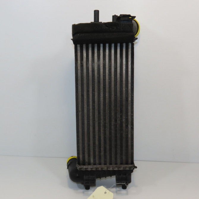 Echangeur air occasion FORD FOCUS III Phase 1 01-2011->04-2015 1.6 TDCI 115ch 2027395 1