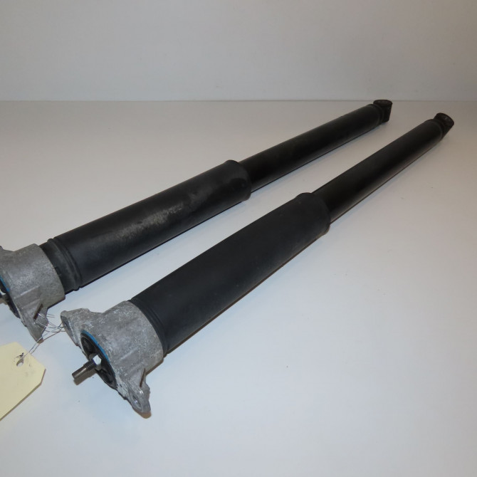 Amortisseur arrière droit occasion FORD FOCUS III Phase 1 01-2011->04-2015 1.6 TDCI 115ch 1751388 1